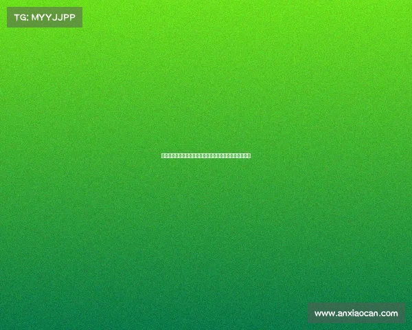 阿斯顿维拉崛起之路：从英超中游到欧洲赛场的挑战与机遇